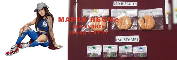 МДПВ Алзамай