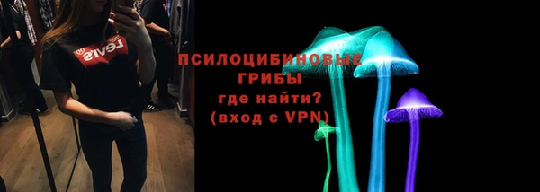МДПВ Алзамай