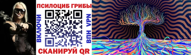 Галлюциногенные грибы Psilocybine cubensis нарко площадка телеграм Мещовск